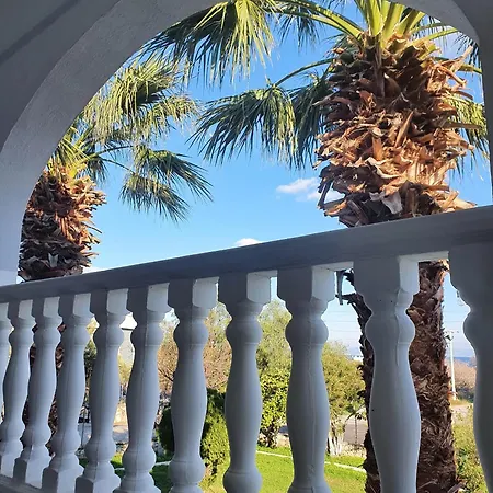 Dilek Agaci Butik - *