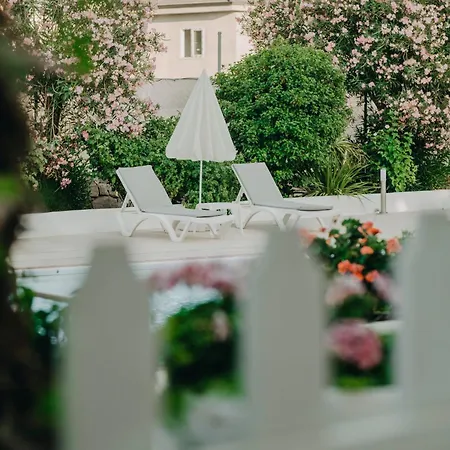 Dilek Agaci Butik - *