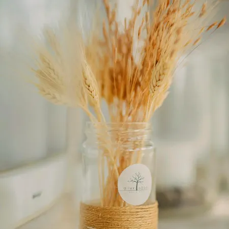 Hotel Dilek Agaci Butik - Karaburun (Izmir)