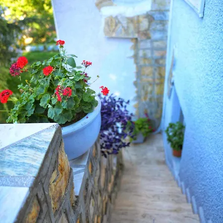 Dilek Agaci Butik - Hotell *