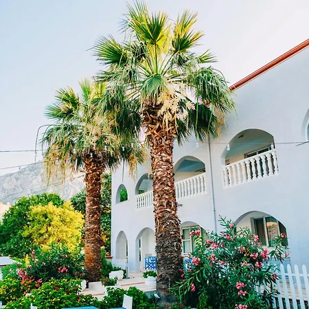 Dilek Agaci Butik - *