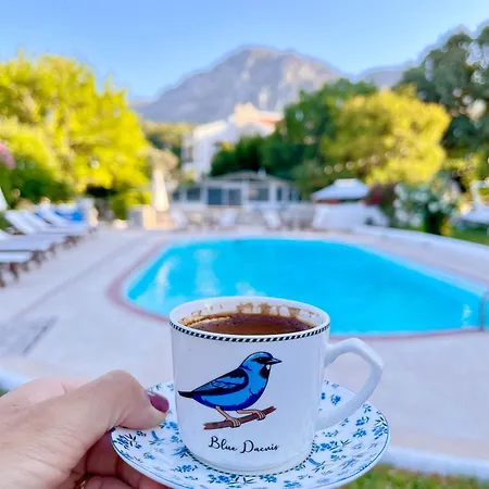 Dilek Agaci Butik - Hotel Karaburun (Izmir)