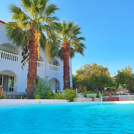 Dilek Agaci Butik - *