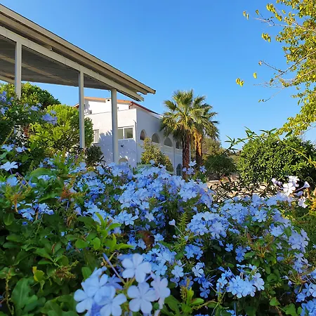 Dilek Agaci Butik - Hotell *