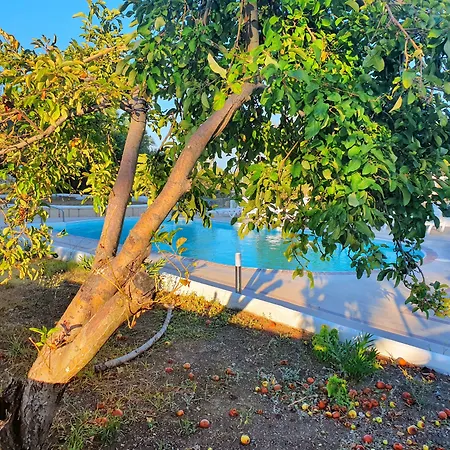 Dilek Agaci Butik - Hotell *