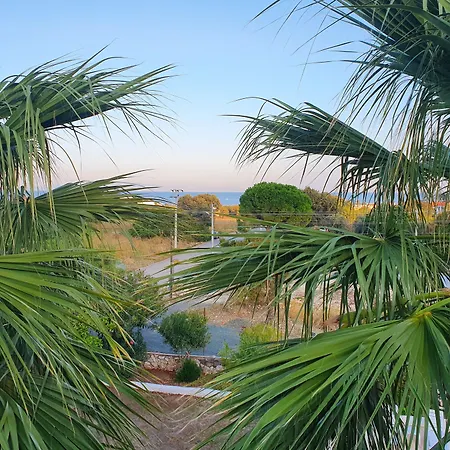 Dilek Agaci Butik - Karaburun (Izmir)