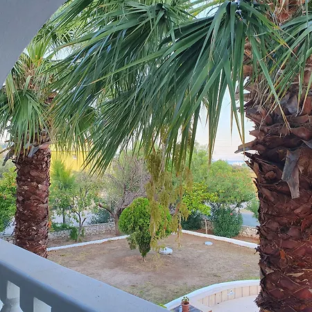 Hotel Dilek Agaci Butik -