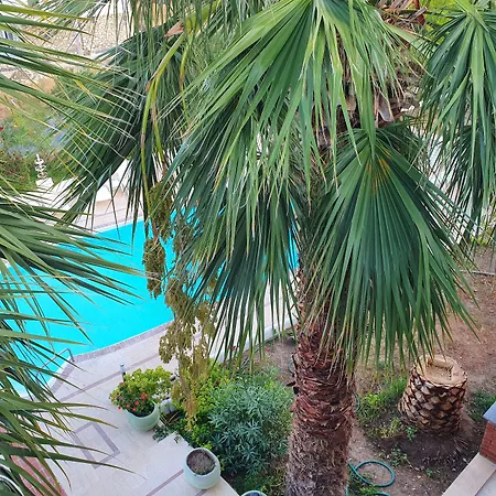 Dilek Agaci Butik - * Karaburun (Izmir)