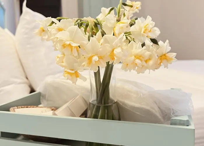 Dilek Agaci Butik - Hotel *