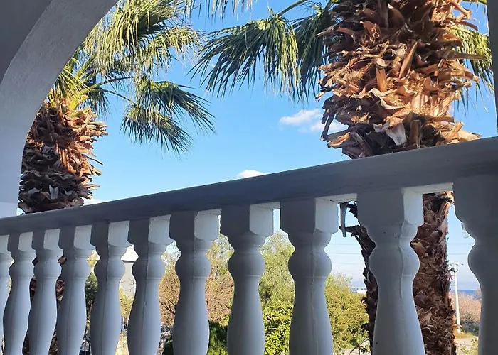 Dilek Agaci Butik - *