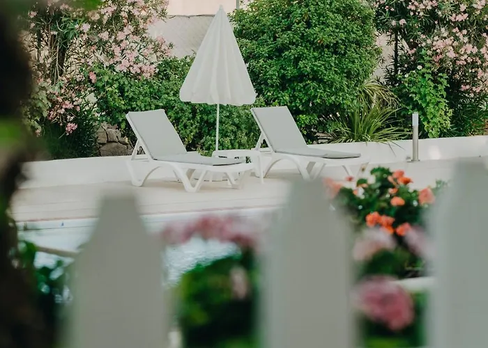 Dilek Agaci Butik - *