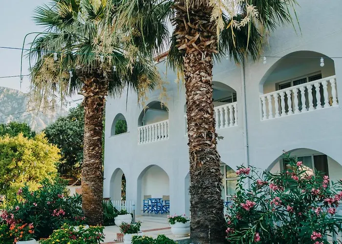 Dilek Agaci Butik - *