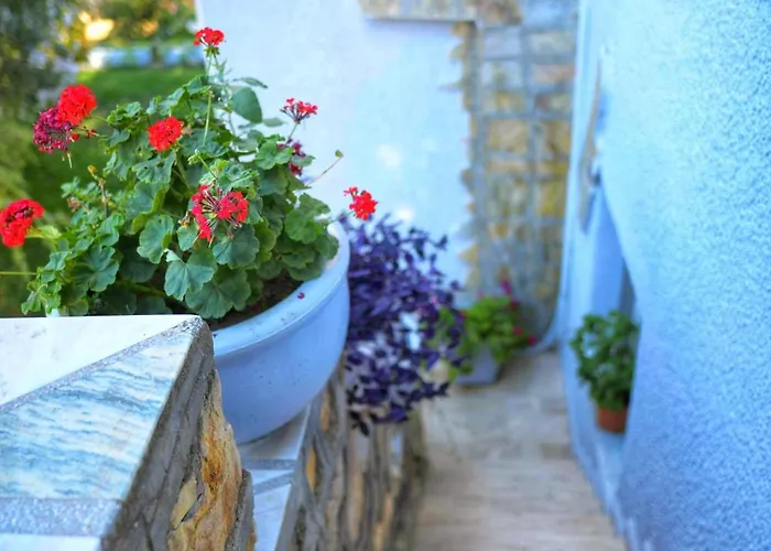 Dilek Agaci Butik - Hotel *