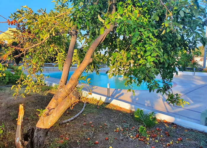 Dilek Agaci Butik - Hotel *