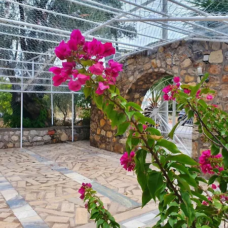 Dilek Agaci Butik - Karaburun * Karaburun (Izmir)