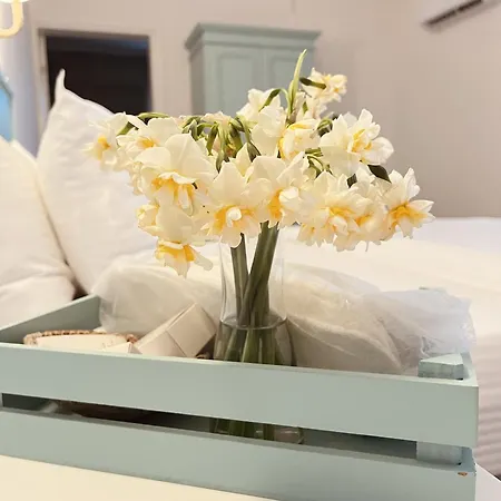 Dilek Agaci Butik - Karaburun Hotel *