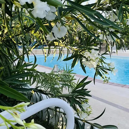 Dilek Agaci Butik - Karaburun Hotel *