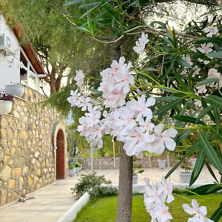 Dilek Agaci Butik - Karaburun * Karaburun (Izmir)