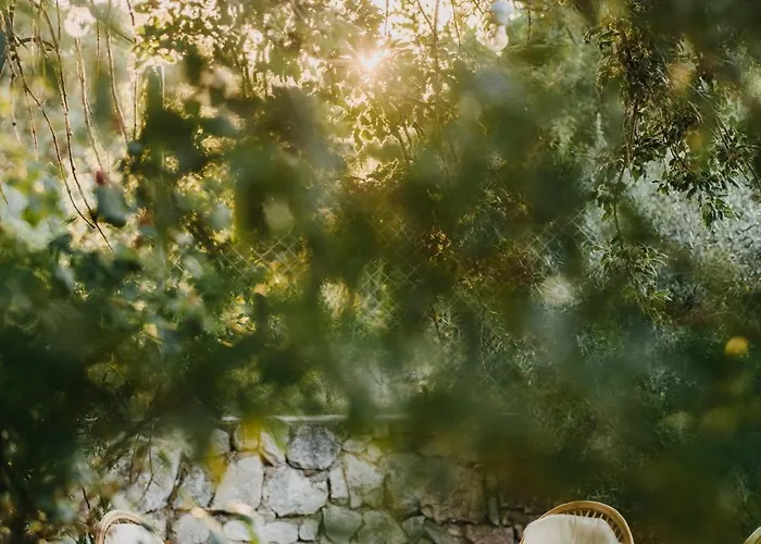 Hotel Dilek Agaci Butik -