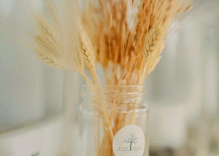 Hotel Dilek Agaci Butik - Karaburun (Izmir)