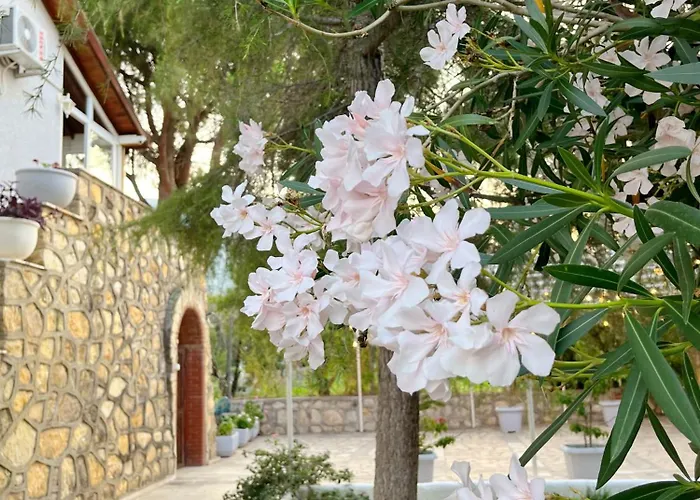 Dilek Agaci Butik - * Karaburun (Izmir)