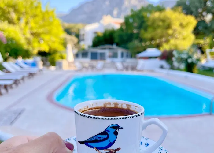 Dilek Agaci Butik - Hotel Karaburun (Izmir)