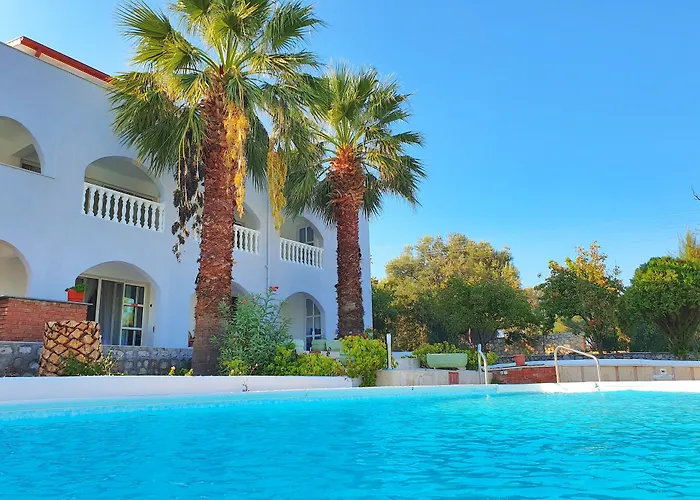 Dilek Agaci Butik - *