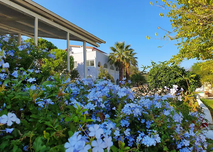 Dilek Agaci Butik - Hotel *